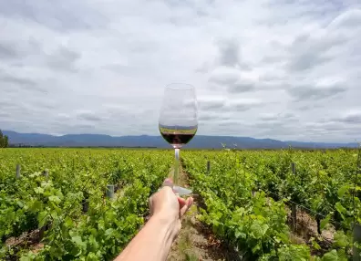 Mendoza, Los caminos del vino