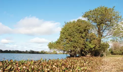 Isla el Cerrito: la isla chaquea con una historia de pelcula