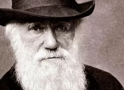 La teoría de la evolución y el mate, lo que Argentina le dio a Darwin