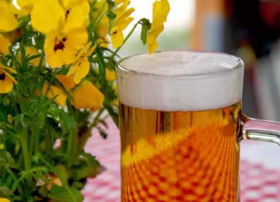 Día Internacional de la Cerveza: origen y curiosidades de una bebida milenaria