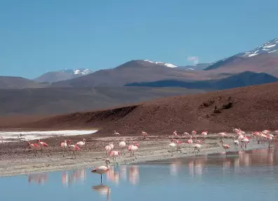 Laguna Brava, la reserva provincial rodeada por la Cordillera de Los Andes